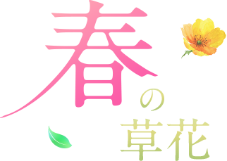 春の草花